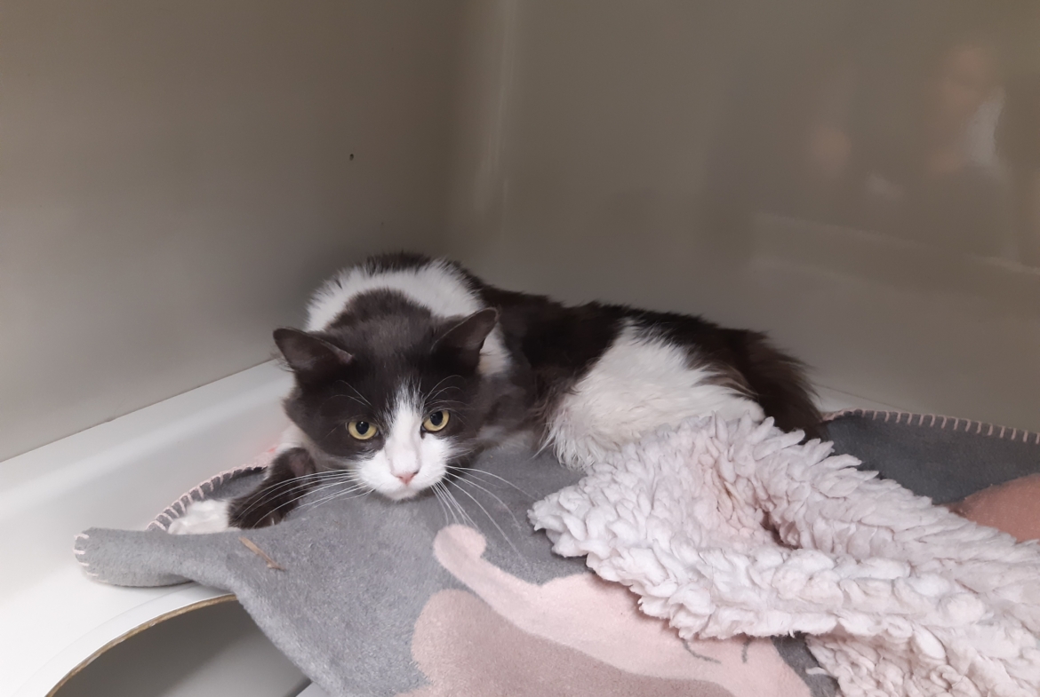 Kim -Ukraine- ZUHAUSE GEFUNDEN