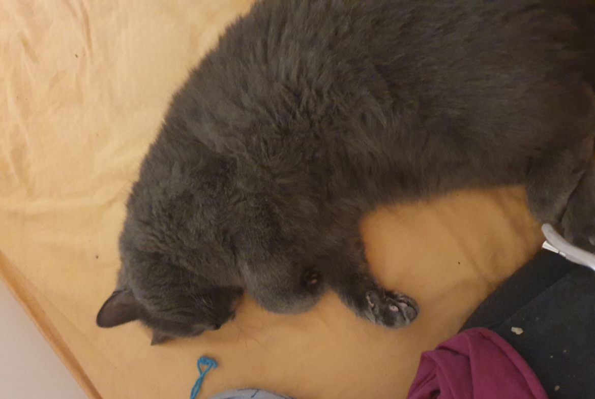 Kater Balu
