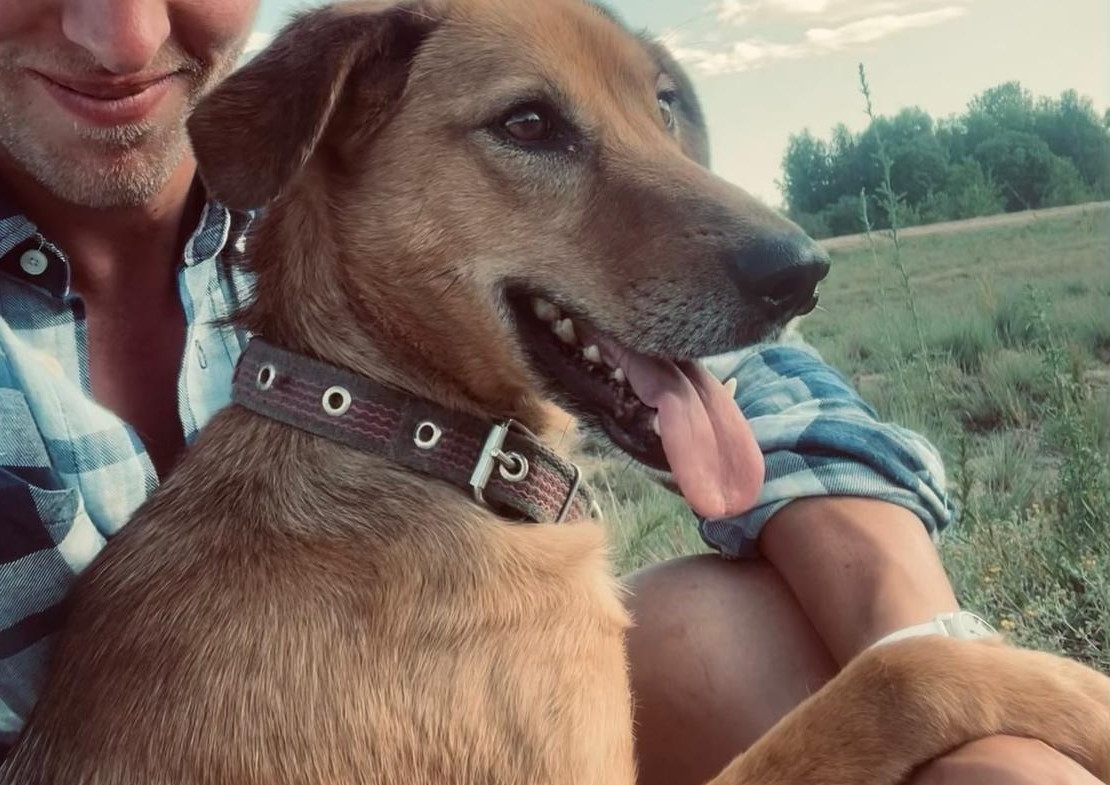 Lucky – Ukraine- ZUHAUSE GEFUNDEN