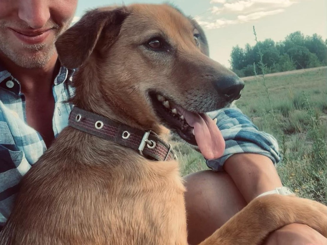 Lucky – Ukraine- ZUHAUSE GEFUNDEN