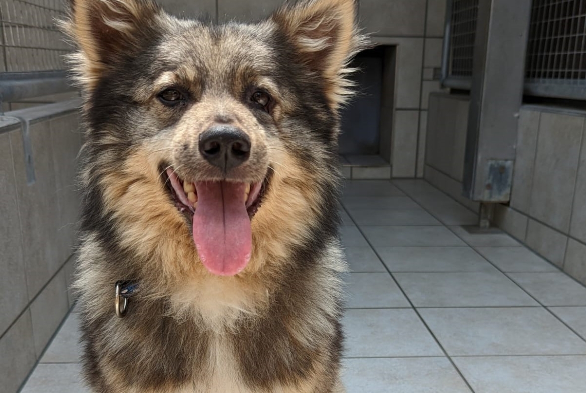 Richi – Ukraine- ZUHAUSE GEFUNDEN