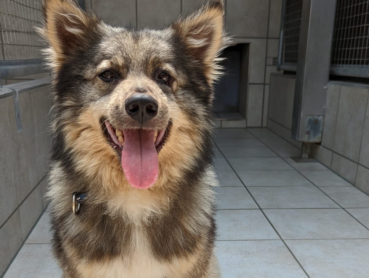 Richi – Ukraine- ZUHAUSE GEFUNDEN
