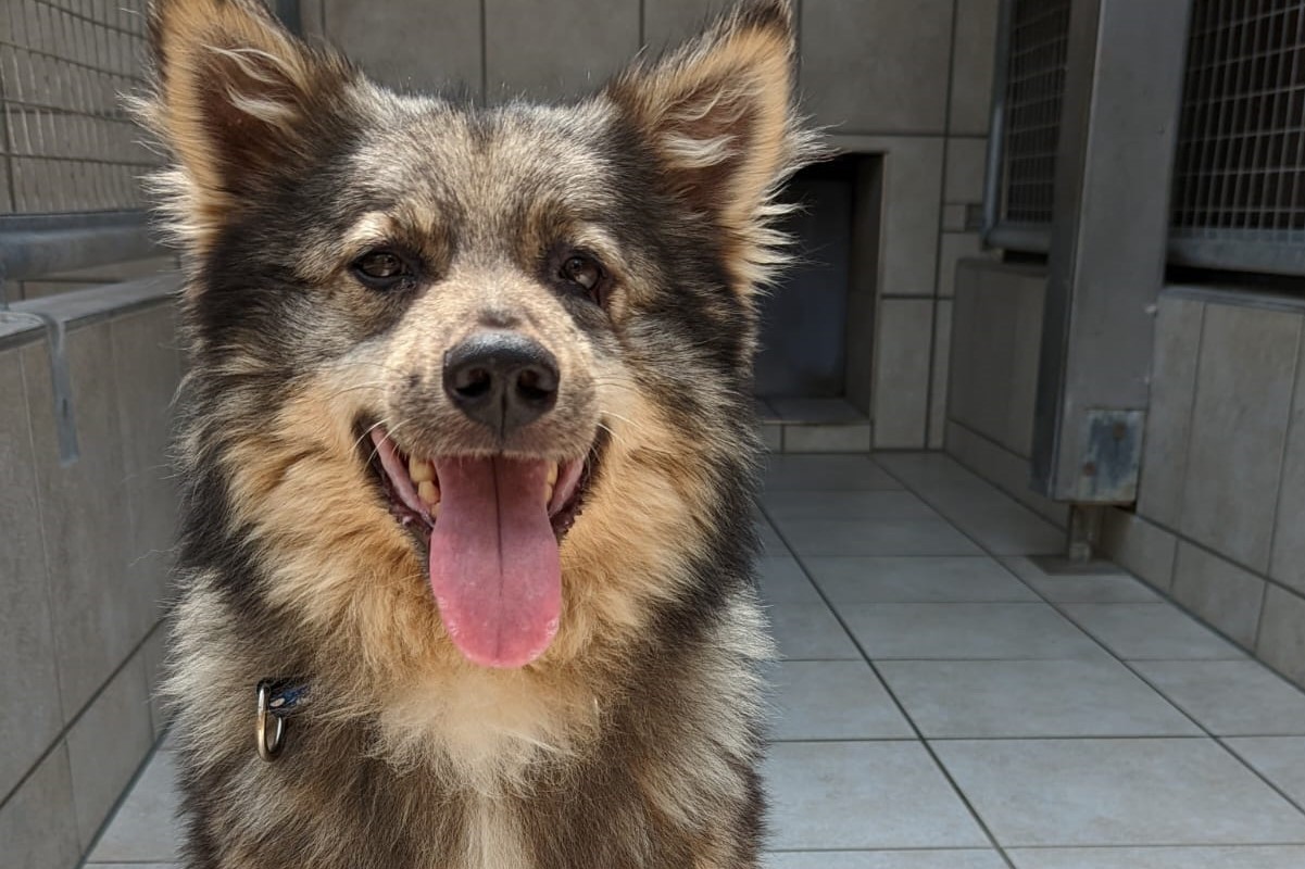 Richi – Ukraine- ZUHAUSE GEFUNDEN