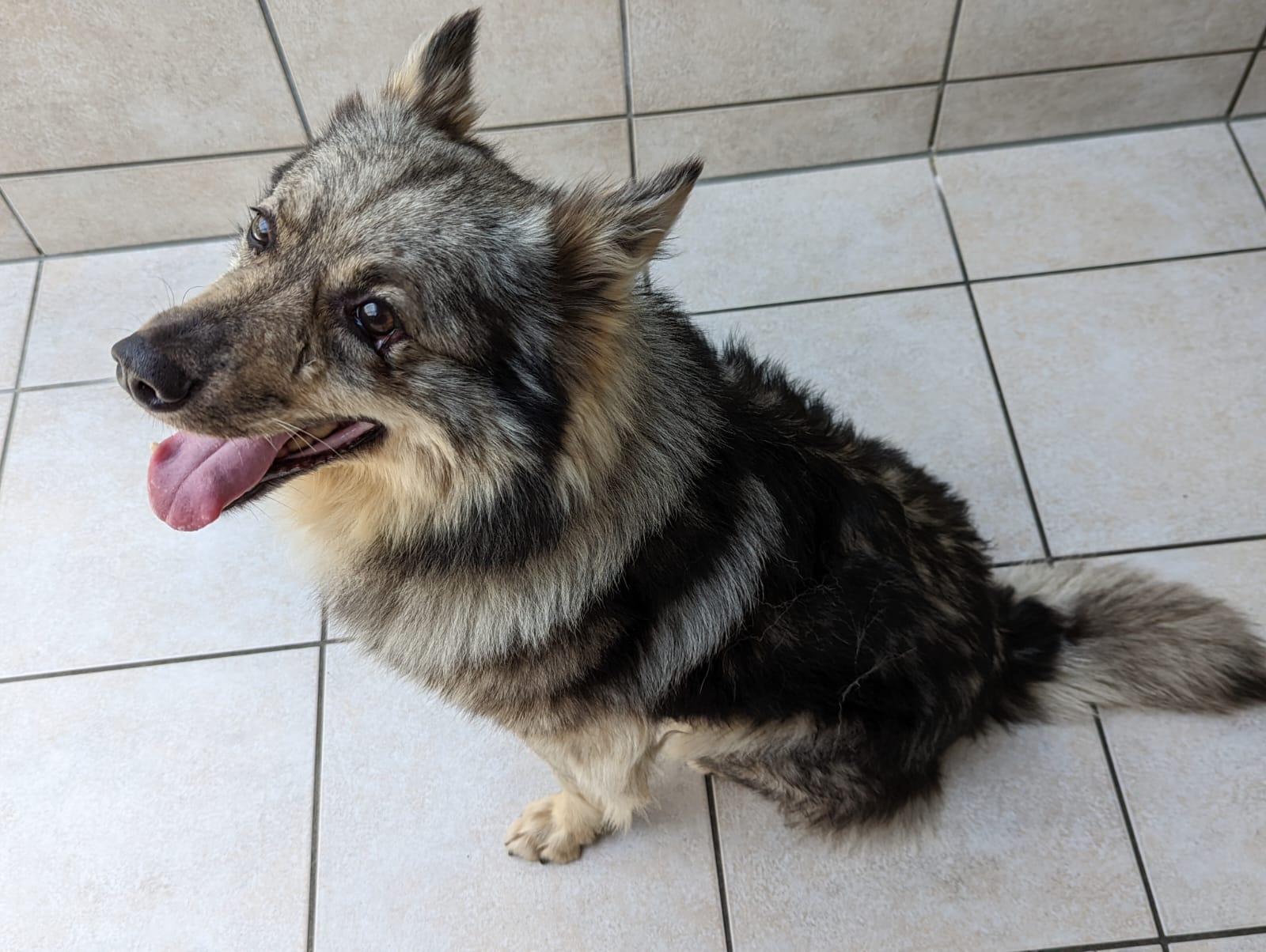 Richi – Ukraine- ZUHAUSE GEFUNDEN