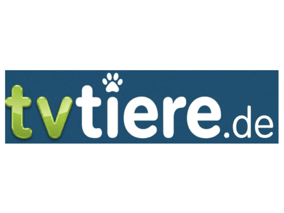 Angora Kaninchen Gary & Bonny